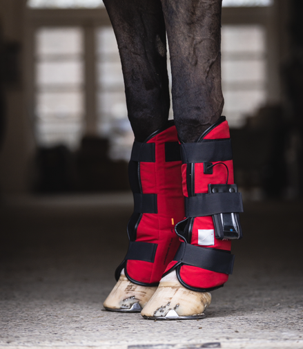 SportInnovations Pulsating magnetic leg wraps (1pair)