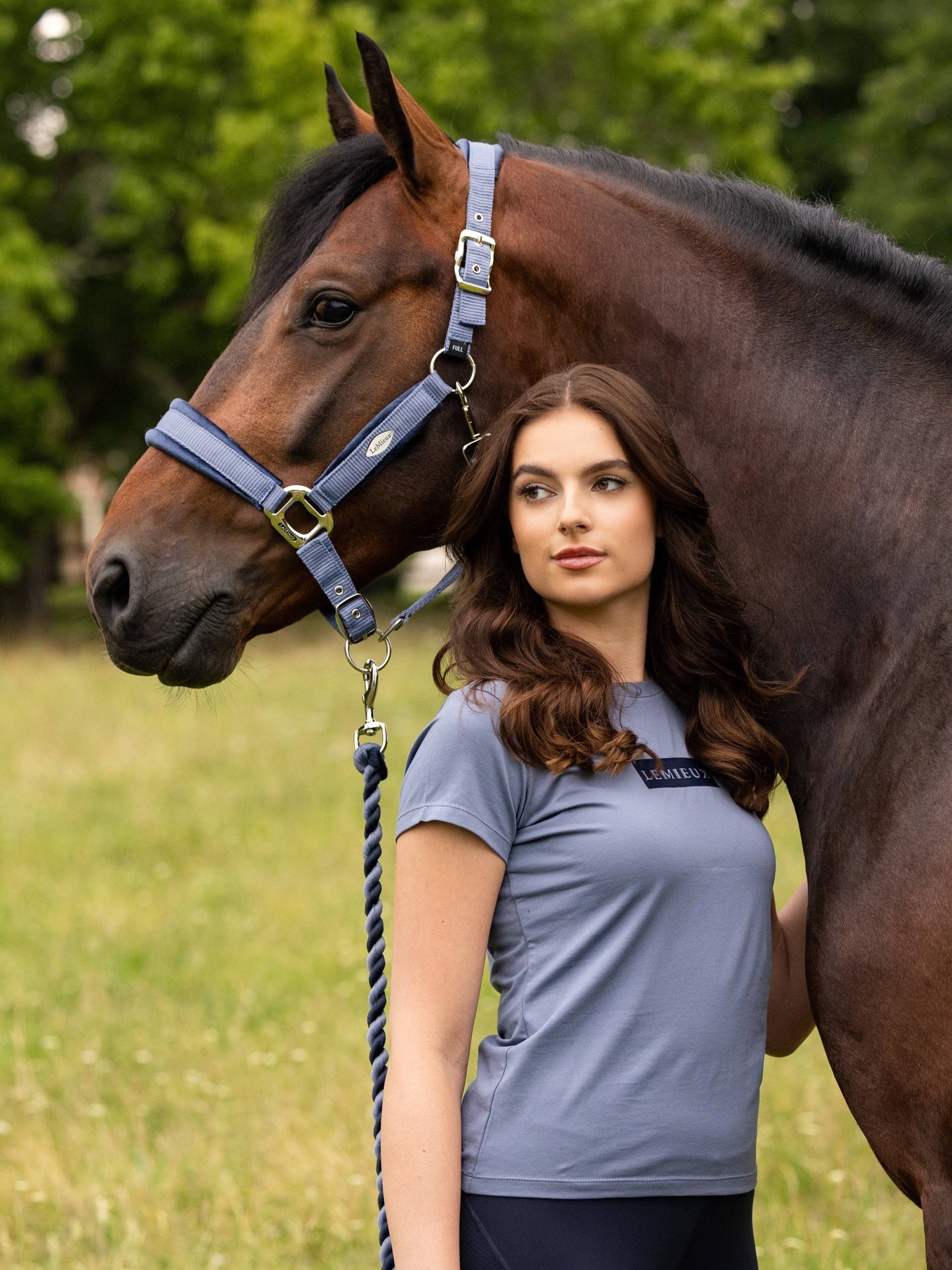 LeMieux Versailles Headcollar