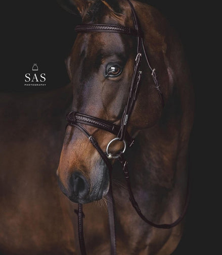 Utzon Grand Prix Hoofdstel