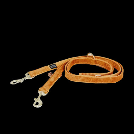 Kentucky Dog Leash Velvet Adjustable