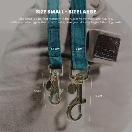 Kentucky Dog Leash Velvet Adjustable