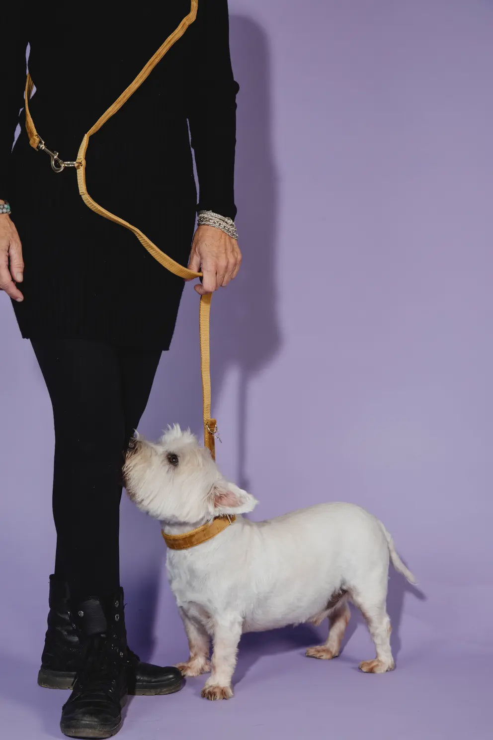 Kentucky Dog Leash Velvet Adjustable