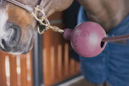 Kentucky Rubber Ball Protection wall &amp; lead