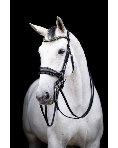 HB Showtime All You Needed Rod &amp; Snaffle