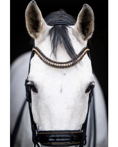 HB Showtime All You Needed Rod &amp; Snaffle