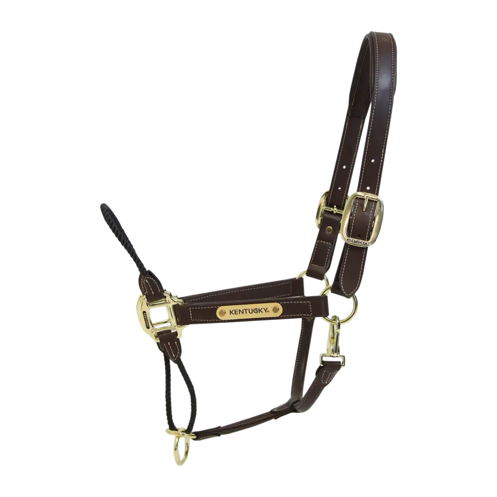 Kentucky Lederhalfter mit Seil