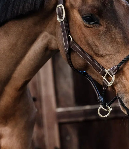 Kentucky Lederhalfter mit Seil
