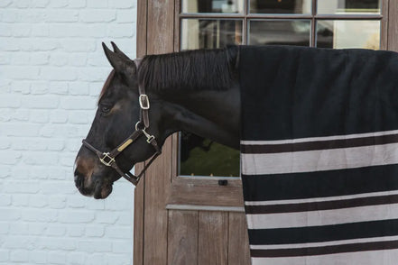 Kentucky Heavy Fleece Paardendeken Square Stripes Brown