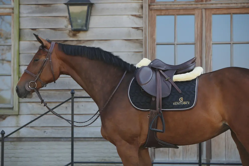 Kentucky Zadeldek Logo