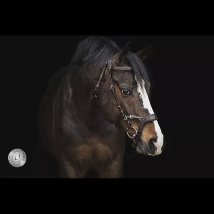 LJ Leathers Headstall JACKSON