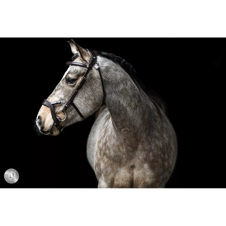 LJ Leathers Halfter JACKSON