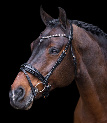 Imperial Riding Headstall IRHOlympia
