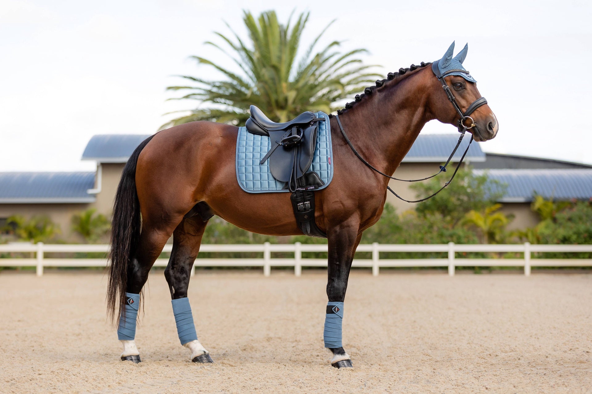 LeMieux Saddle Pad Loire Memory Dressage Square