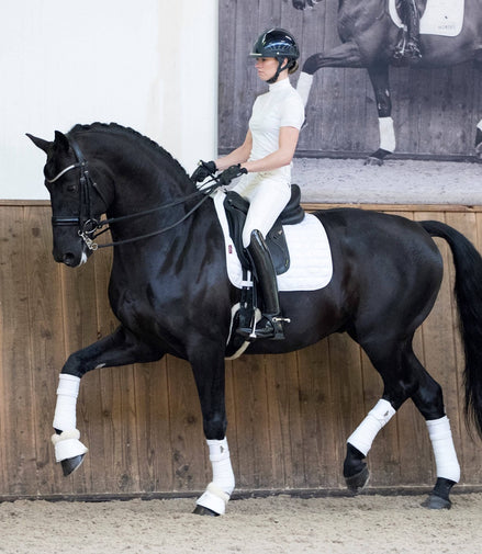 LeMieux Schabracke Loire Memory Dressur Square