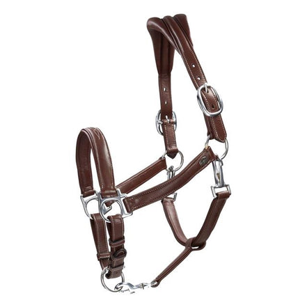 Dy'on Soft Leather Head Collar Working Collection