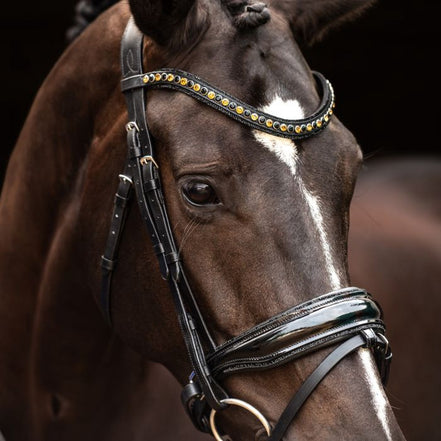 HB Showtime Las Vegas Trenshoofdstel