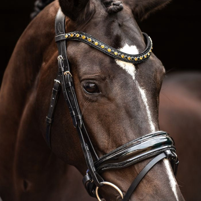 HB Showtime Las Vegas Trenshoofdstel