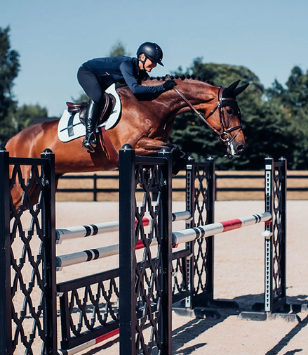 Equestrian Stockholm Schabracke No Boundaries Weiß