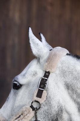 Licol Eskadron à double épingle en fausse fourrure, complet, platine 24