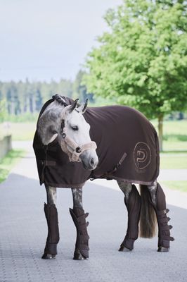 Licol Eskadron à double épingle en fausse fourrure, complet, platine 24
