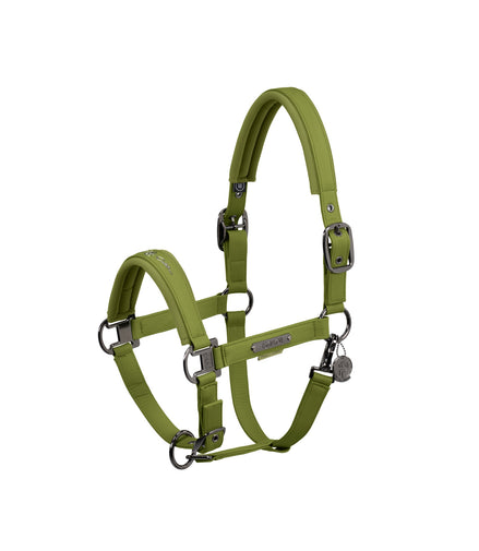 Eskadron Halfter Double Pin Kunstleder Platin 24