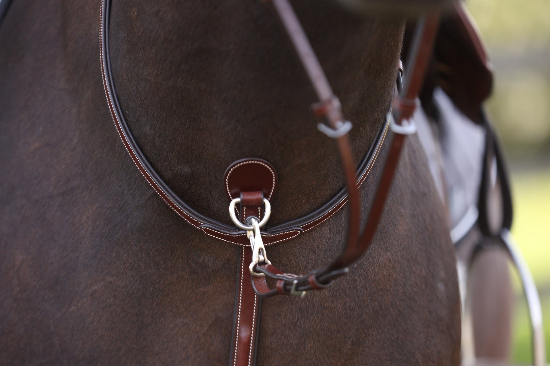 LJ Leathers Pro Selected Martingaal met rvs gespen