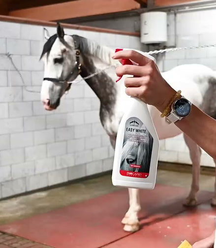 Veredus Easy White Droogshampoo voor grijze paarden