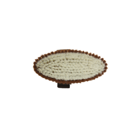 Kentucky Overall Brush