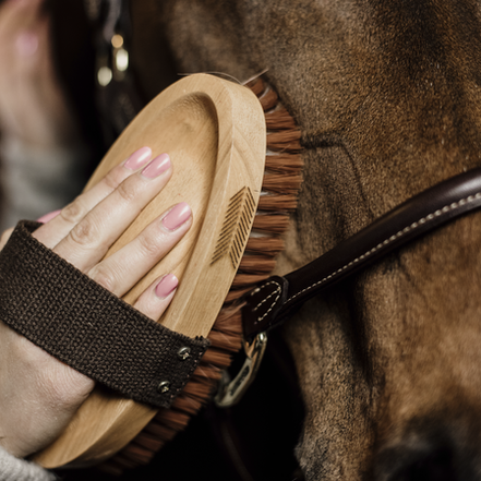 Kentucky Overall Brush