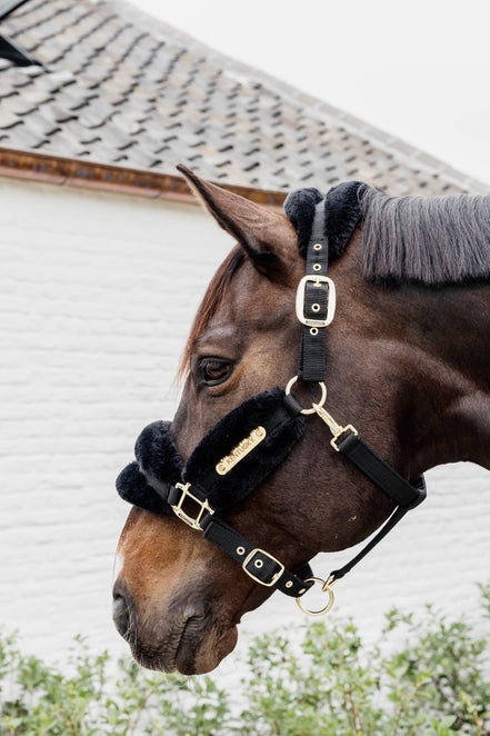 Kentucky Nylon Sheepskin Halter Soft