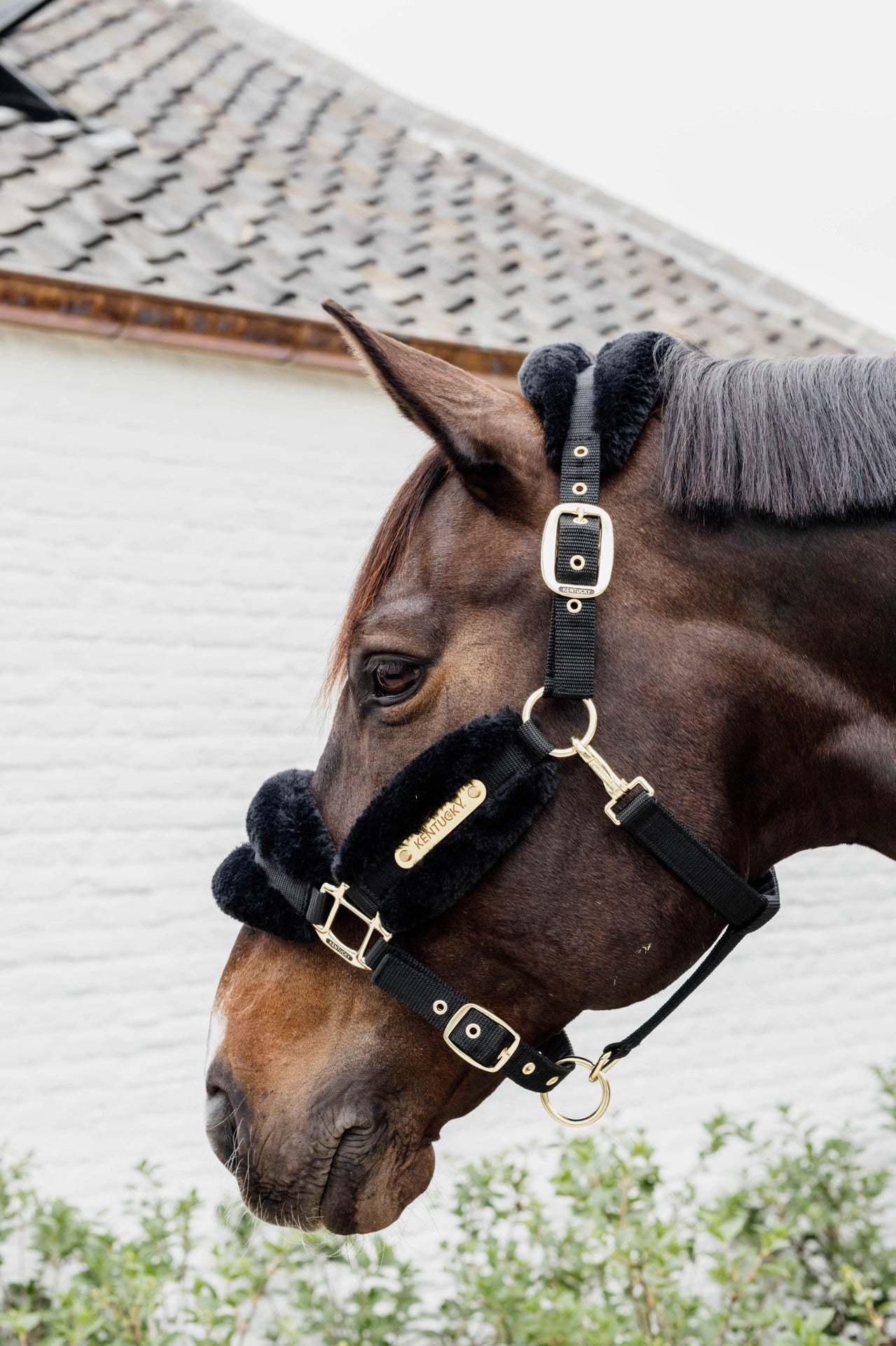 Kentucky Nylon Sheepskin Halter Soft
