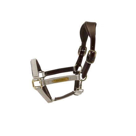 Kentucky Anatomische Nylonhantel 