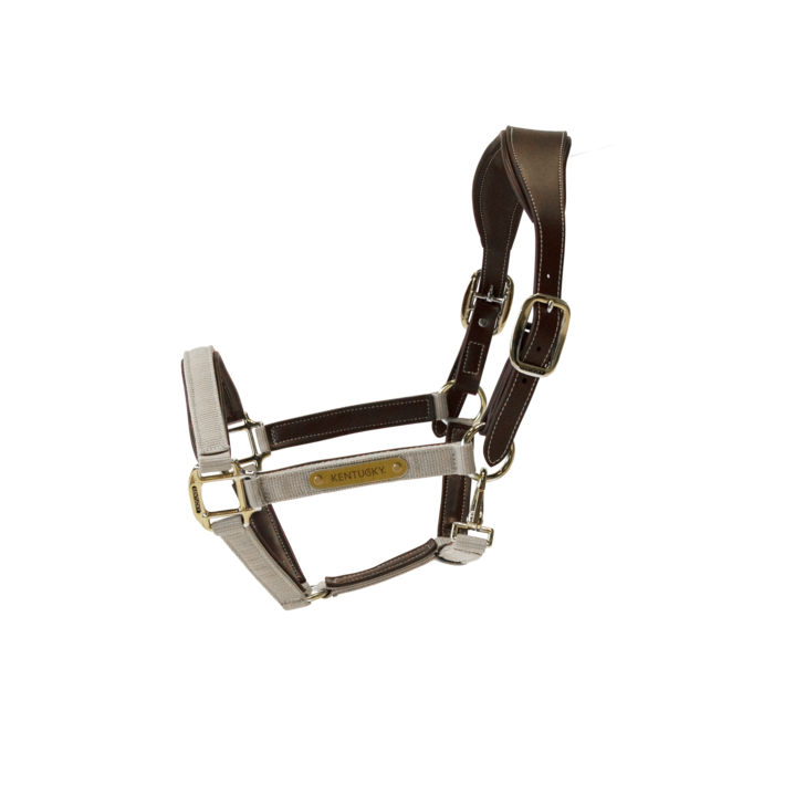 Kentucky Anatomische Nylonhantel 