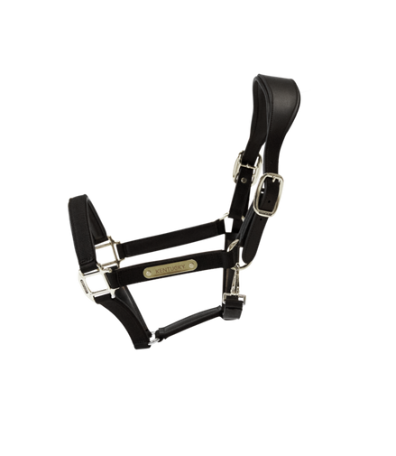 Kentucky Anatomische Nylonhantel 