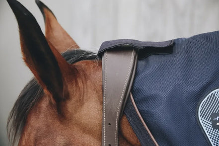 Kentucky Neck Recuptex