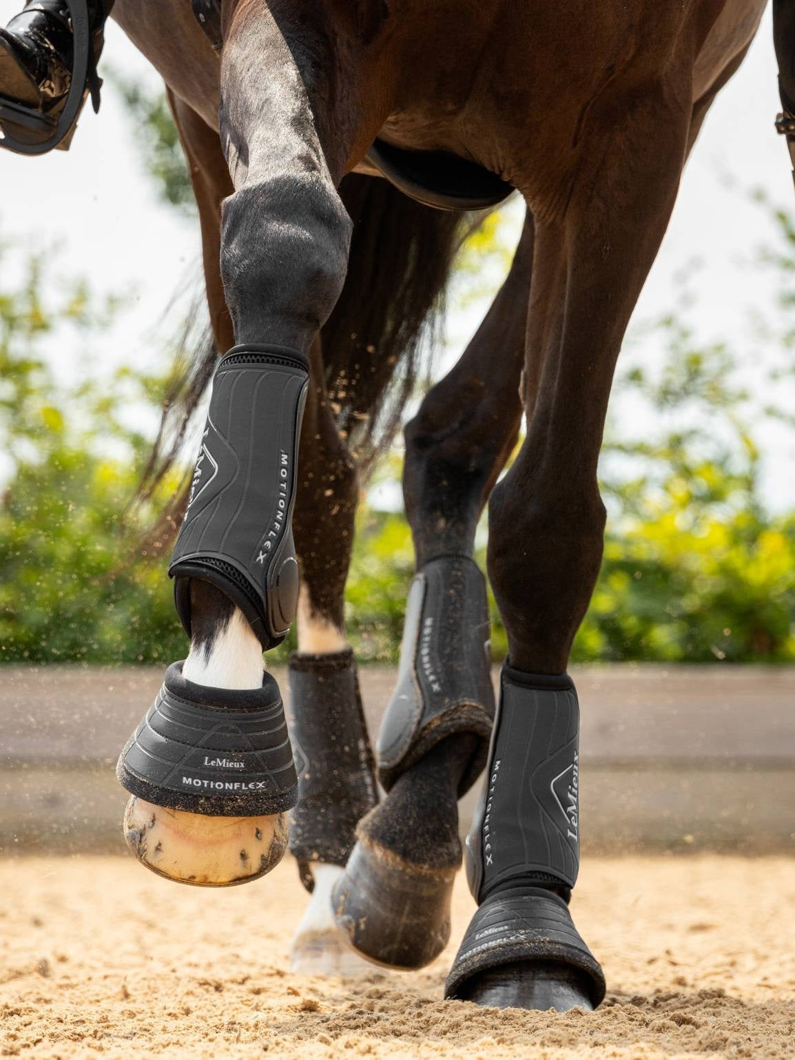 LeMieux Motionflex Dressage Tendon Boots