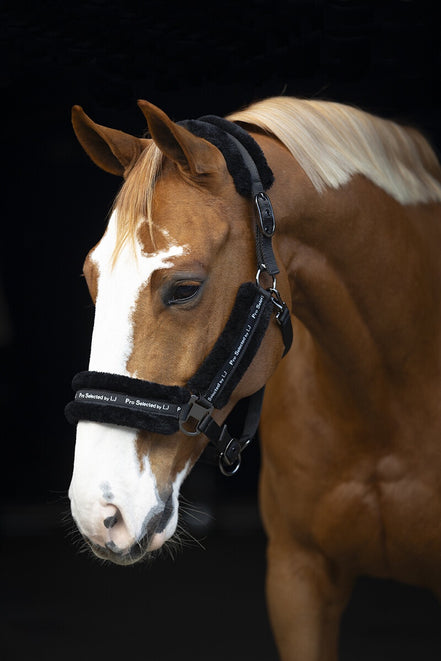 LJ Leathers Halster Nylon Met Vacht