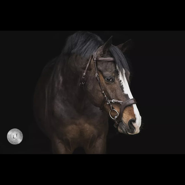 LJ Leathers Halfter JACKSON