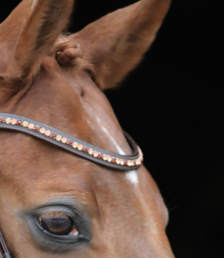 LJ Leathers Hoofdstel Rose Aansnoerneusriem Met Lak Rosé Gold