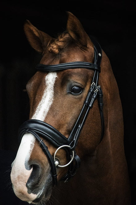 LJ Leathers Halfter Superior