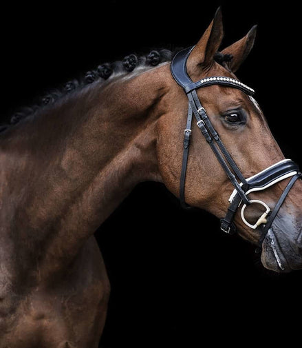 LJ Leathers Hoofdstel Superior Kristal