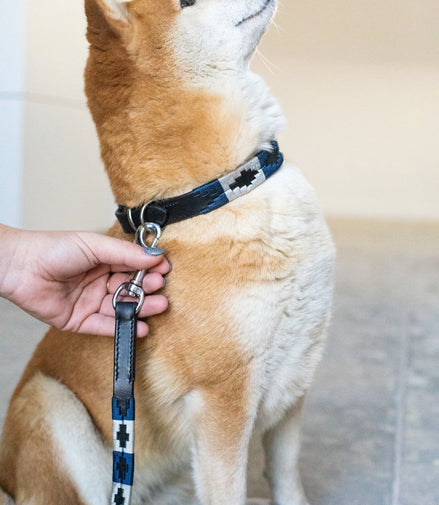 HFI Polo Dog Lead