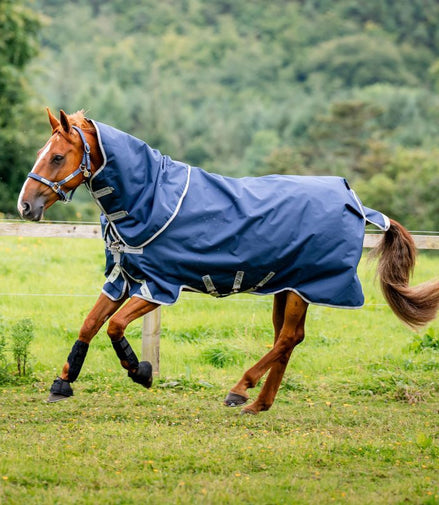 Horseware Amigo Bravo 12 Plus Weidedecke