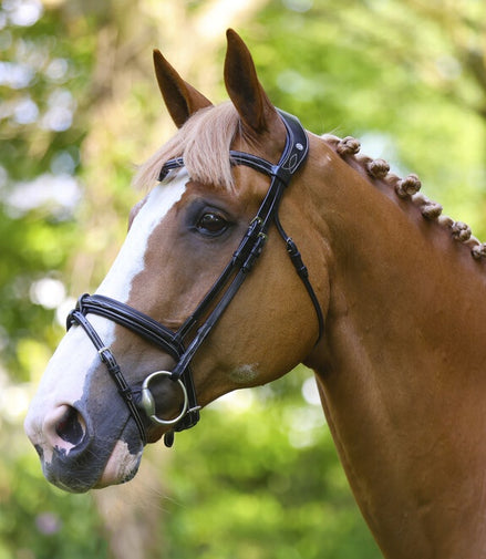 LJ Leathers PS hoofdstel Legendary gekomb. neusriem