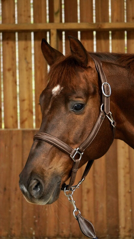 Dy'on Zacht Lederen Halster