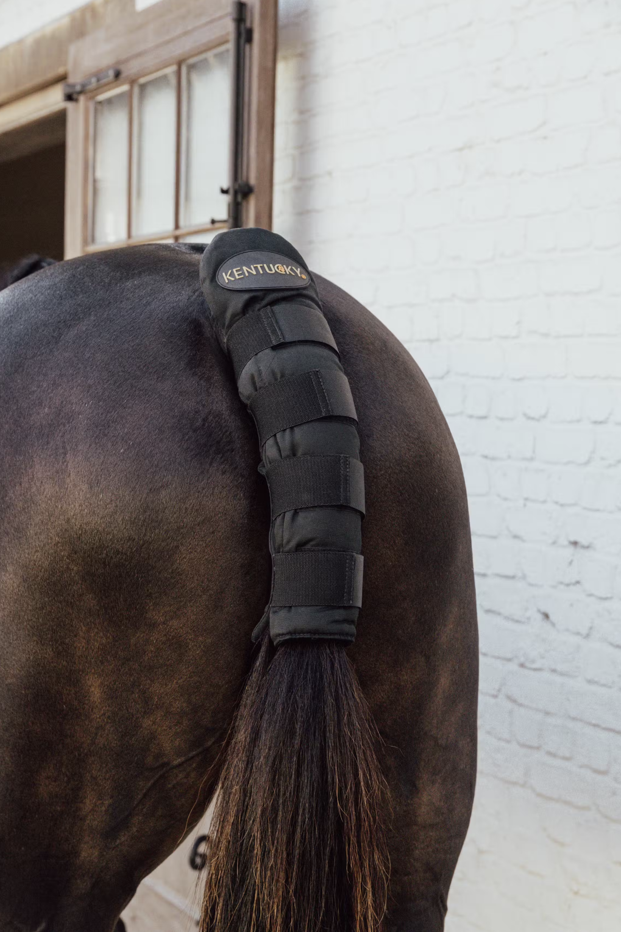 Kentucky Tailguard pro