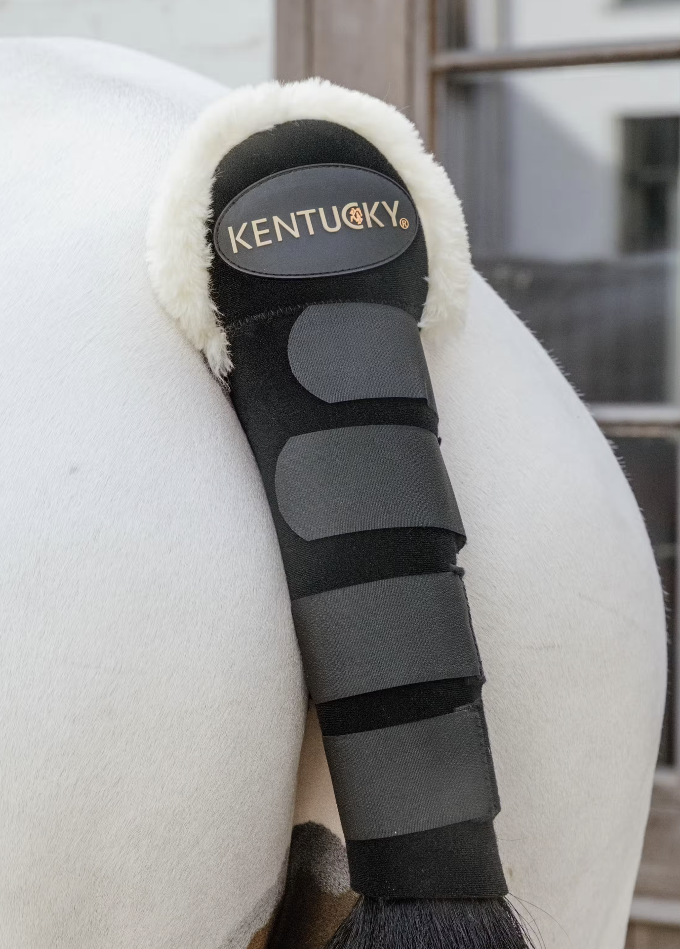 Kentucky Tailguard wool