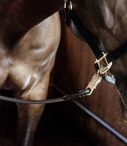 Kentucky Vastzetlijn Silicone 70cm