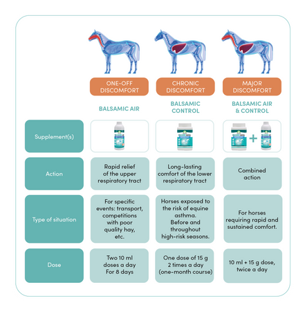 Audevard Balsamic Air 500ml