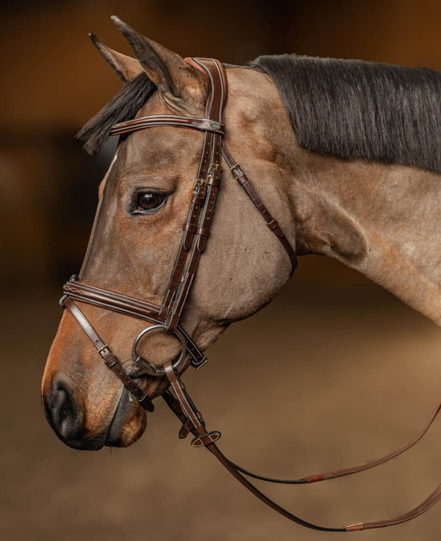 HFI Hoofdstel Pro Line Milano